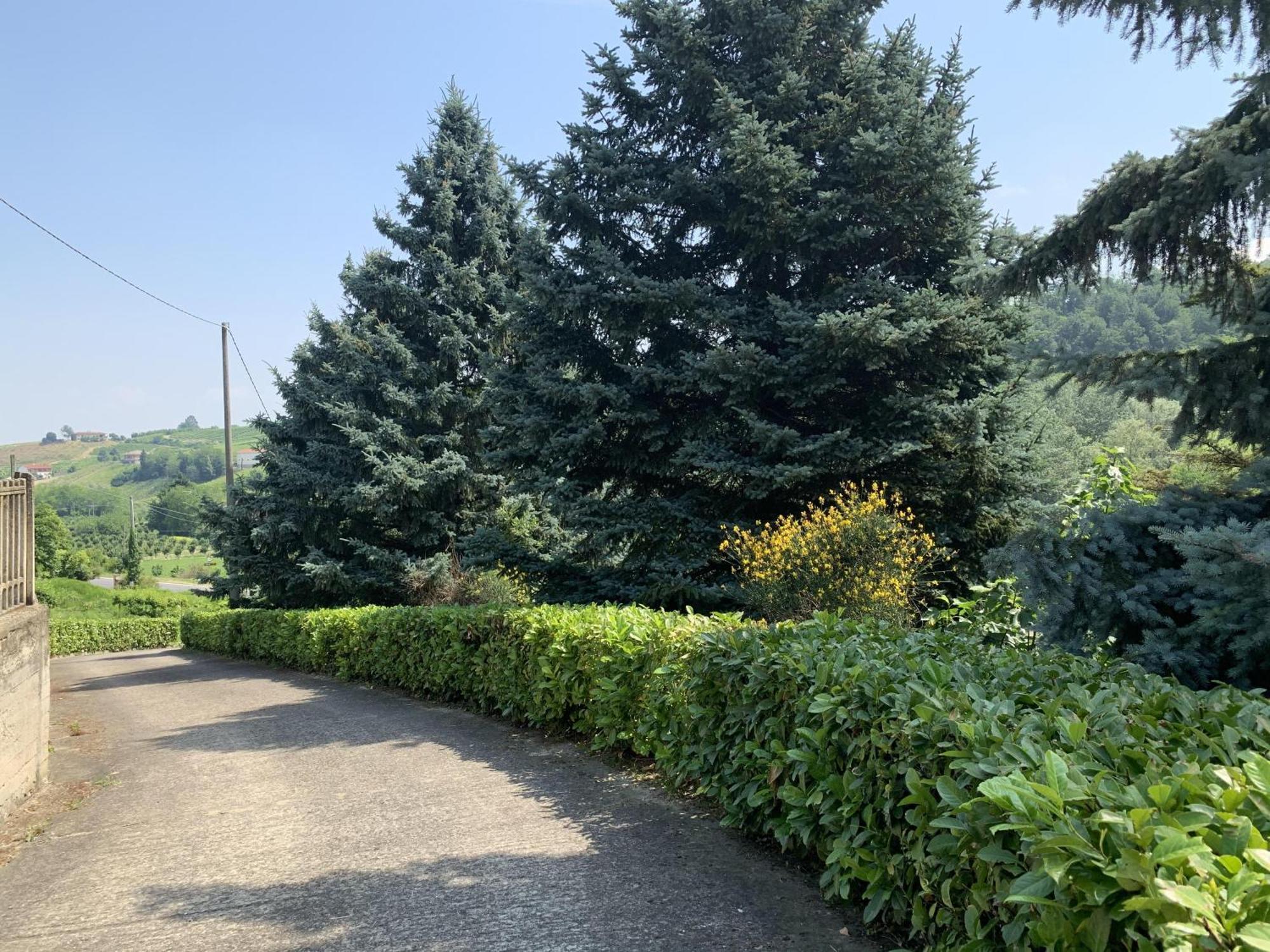 Bricco Nebbiolo Appartement Neviglie Buitenkant foto